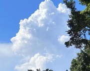 澳门半岛天气预报,澳门半岛7天天气预报,澳门半岛15天天气预报,澳门半岛天气查询